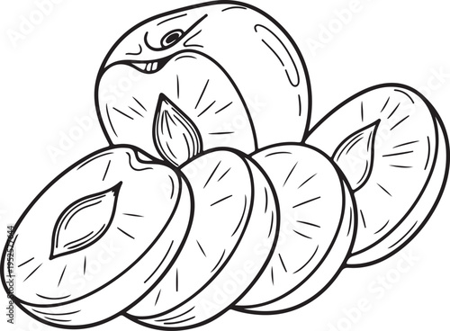 Plums sliced and whole line art illustration fresh fruit depiction healthy food concept