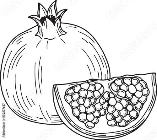 Pomegranate Fruit and Slice with Seeds Outline Drawing Isolated on White Background