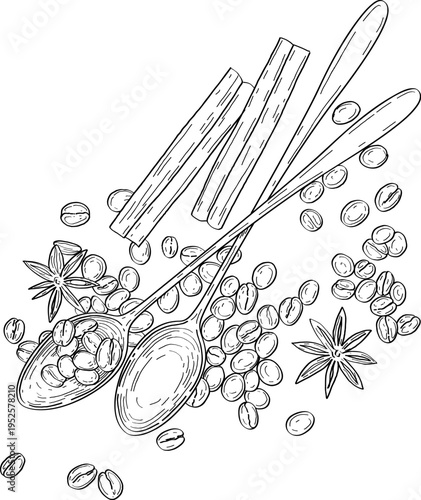 High quality linear realistic vector illustration of a coffee beans, spoons and cinnamon rolls and stars. deal for menus, restaurant, coffee, pastry, sweets shop,  product label design. Barista tools.