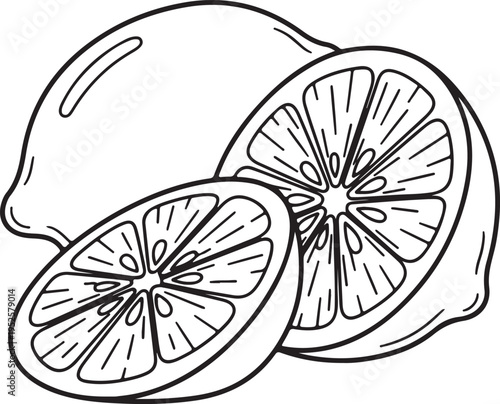 Whole and Sliced Lemons Line Art Citrus Fruit Sections Isolated on White Background Simple Graphic