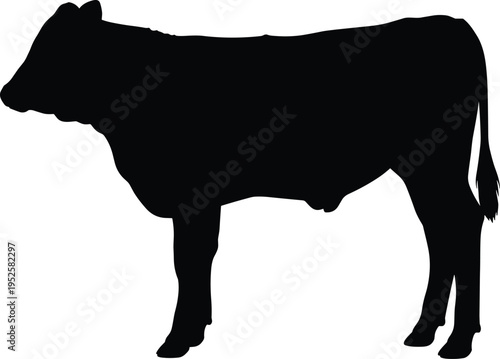 Black cow silhouette vector illustration, farm animal bull isolated on white background, beef cattle cattle livestock profile for butcher shop.