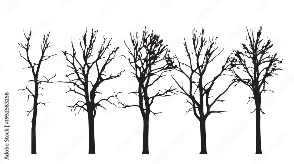 Fototapeta premium Vector Set of Deciduous Trees in Winter Silhouettes