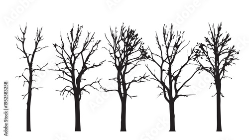 Vector Set of Deciduous Trees in Winter Silhouettes
