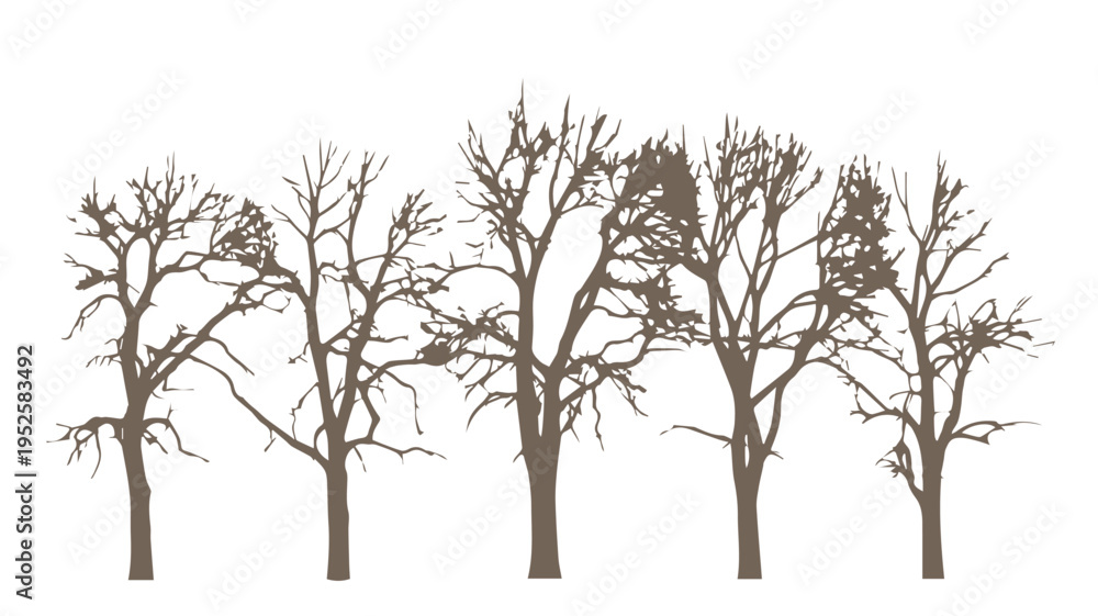 Obraz premium Bare Deciduous Trees Silhouette Graphic Element for Winter Designs