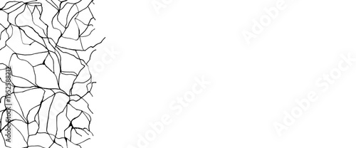 Kintsugi background template with black cracks on white marble texture. Elegant broken pattern repaired with handmade paint creates luxurious abstract background for modern design. Vector pattern bg.