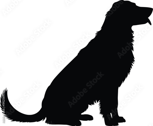 Dog silhouette sitting, furry pet outline, golden retriever style, animal figure design, domestic canine illustration, logo icon art reference