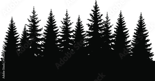 Forest tree silhouette, dense pine fir  wilderness ecosystem art, outdoor scenery background setForest tree silhouette, dense pine fir woodland, nature landscape illustration, 