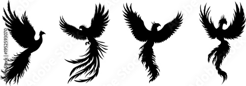 Phoenix bird silhouette, firebird, vector