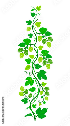 A vibrant illustration of a hops plant with green leaves and cones