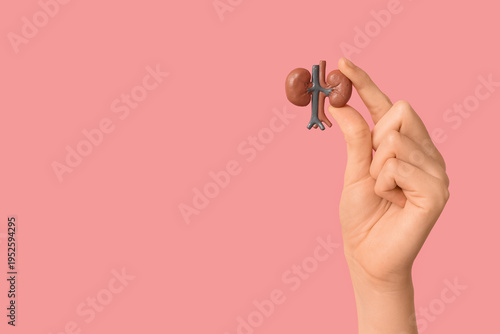 Female hand with human kidn...