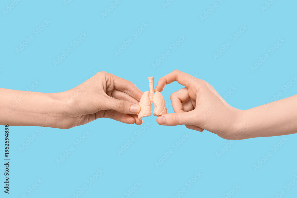 Fototapeta premium Female hands with human lungs model on blue background