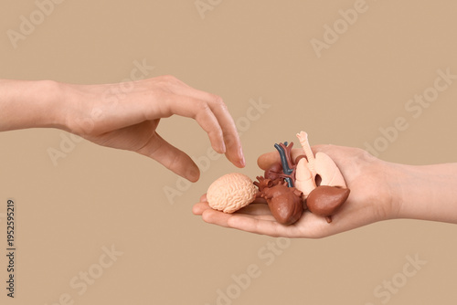 Female hands with human int...