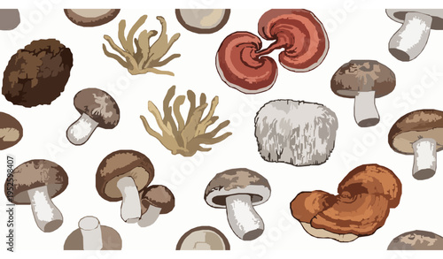 Vintage botanical medicinal mushroom seamless pattern vector with engraved fungi illustration on white background