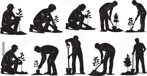 Silhouette of a man planting a tree outdoors activities