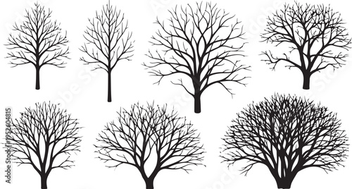Collection of bare tree silhouettes in various shapes sizes