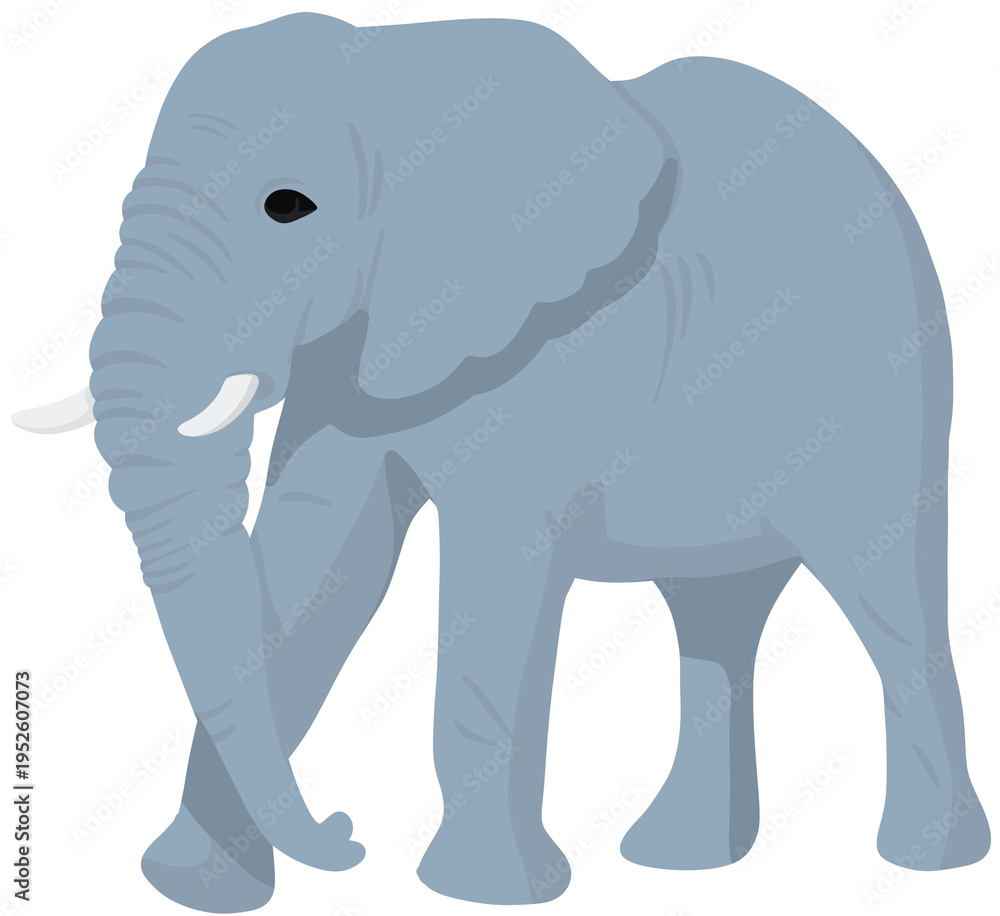 Obraz premium animal character