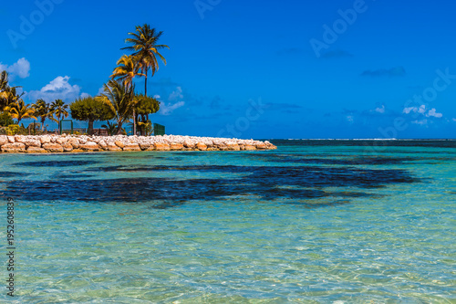 Bild auf Leinwand A view across a lagoon towards a palm tree at Sainte Anne, Grande Terre, Guadelo