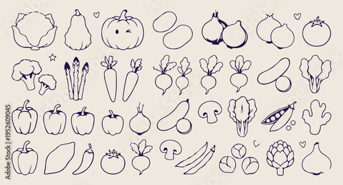 Fresh garden vegetables doodle pattern, hand drawn organic food sketch, healthy vegan diet background, carrot pumpkin onion vector, farm fresh produce illustration, rustic kitchen garden pattern, vege