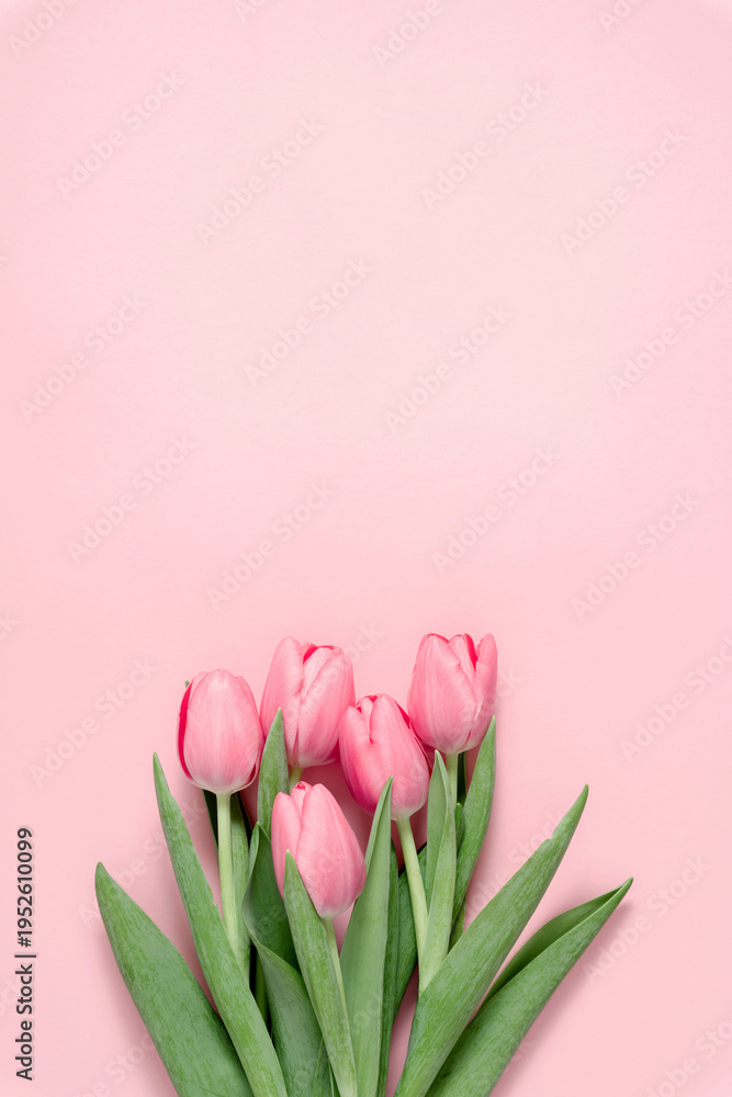 Fototapeta premium Pink tulips bouquet on vertical pastel pink background. Flat lay floral composition with copy space. Minimalist spring concept for Mother's Day, Women's Day, Easter or Valentine's Day greeting card.