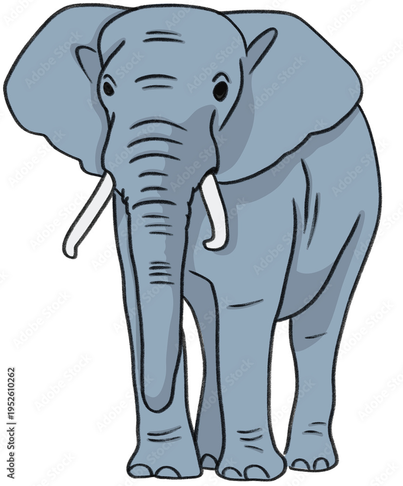 Fototapeta premium elephant illustration