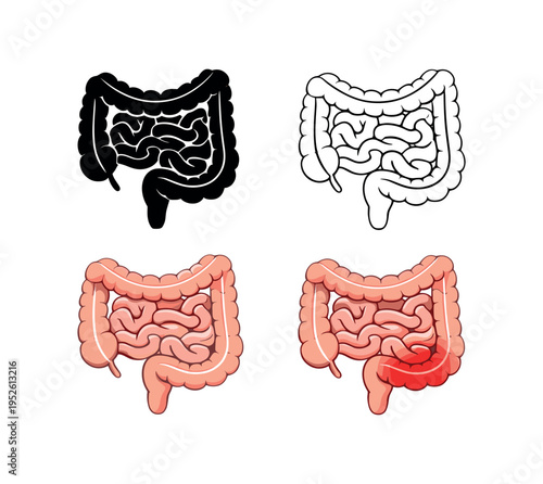 Main subject simplified large intestine outline and filled shapes. secondary traits show four variants: solid black, thin black outline, pink filled icon, 