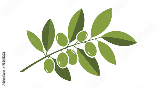 Natural green olive branch with several ripe olives and leaves in a clean vector illustration style against a white background.