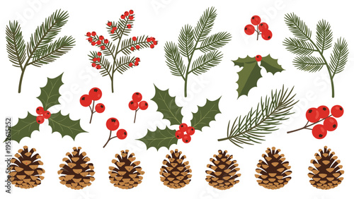 Collection of winter holiday botanical elements including pine branches, holly berries, and brown pinecones on white background.