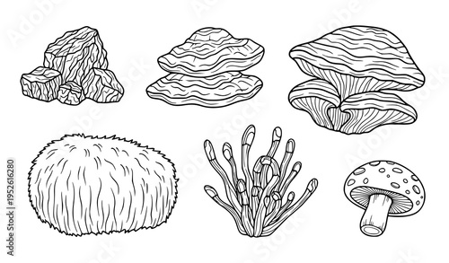 Hand drawn medicinal mushroom outline icon collection vector fungi symbols for herbal and wellness design