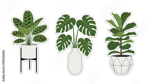 Sticker set displays three popular tropical indoor plants including a Calathea, Monstera, and Fiddle Leaf Fig in stylish pots.