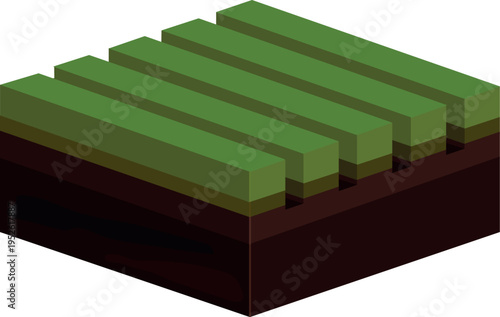 Lawn scarification and dethatching process showing vertical cuts in soil