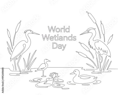 Wetlands wildlife illustration, black and white outline scene featuring herons ducks and water lilies for environmental conservation and nature awareness.