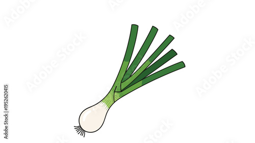 Fresh bunch of green onions with white bulbs and long green stalks, isolated on a white background for food themes.