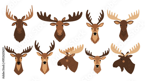 Set of diverse deer and moose heads with different antler shapes and sizes, shown in front and profile views for wildlife themes.