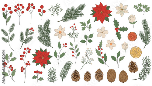 Large collection of hand-drawn Christmas botanical elements including pine branches, red berries, poinsettias, and pinecones.