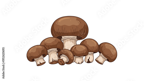 Group of various brown mushrooms of different sizes bunched together, isolated on a clean white background for culinary themes.