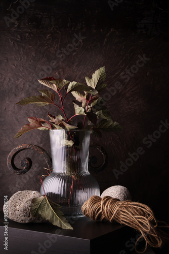 Still life botanico con vaso in vetro, foglie e materiali naturali su sfondo scuro