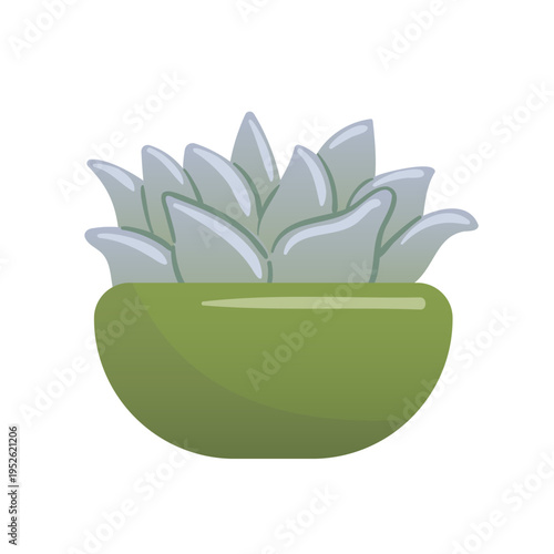 Stylized vector illustration of Echeveria succulent featuring symmetrical rosette shaped leaves in soft pastel green and pink hues, elegant flat design, isolated on a light background.