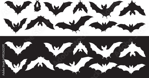 Set of 20 black and white bat silhouettes vector isolated on Transparent Background