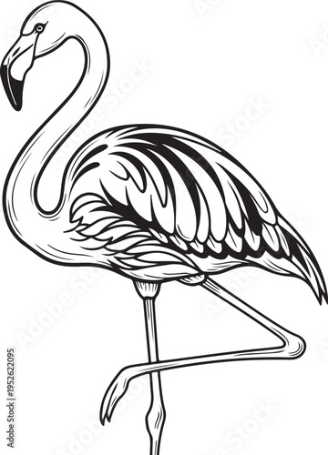 Black and white flamingo vector illustration isolated on Transparent Background