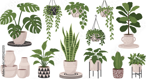Indoor houseplants collection vector illustration with hanging plants, monstera, snake plant, cactus and modern home decor botanical set