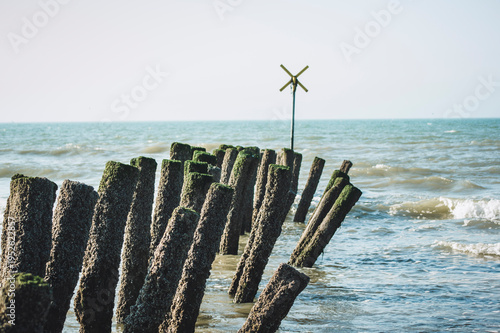 Картината върху платно Mossy wooden breakwater piles in the ocean