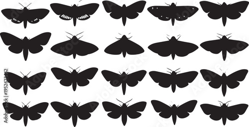 a collection of black butterfly silhouettes on a transparent background isolated on transparent background, Vector, illustration