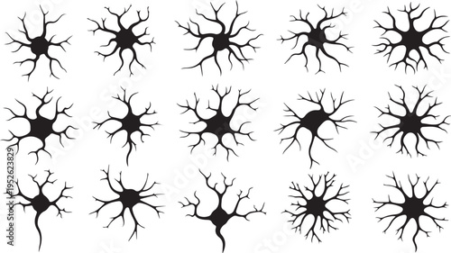 a collection of black neuron cell icons isolated on transparent background, Vector, illustration