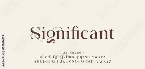 Lettering Minimalist Fashion. Elegant alphabet letters serif font and number. Typography fonts regular uppercase, lowercase.