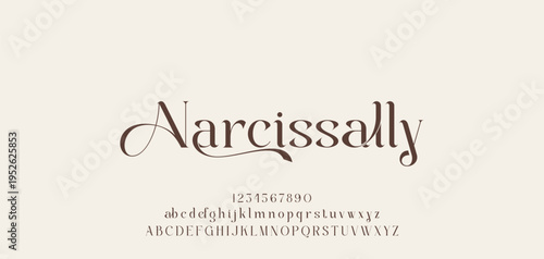 Lettering Minimalist Fashion. Elegant alphabet letters serif font and number. Typography fonts regular uppercase, lowercase.