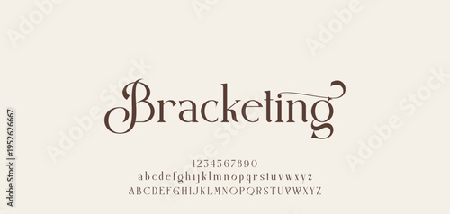 Lettering Minimalist Fashion. Elegant alphabet letters serif font and number. Typography fonts regular uppercase, lowercase.