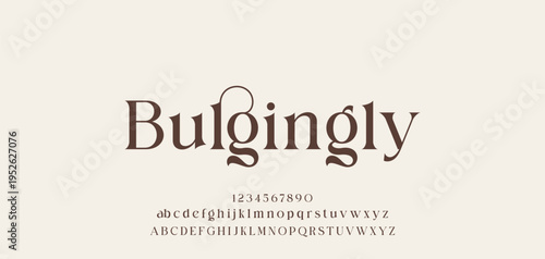 Lettering Minimalist Fashion. Elegant alphabet letters serif font and number. Typography fonts regular uppercase, lowercase.