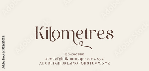 Lettering Minimalist Fashion. Elegant alphabet letters serif font and number. Typography fonts regular uppercase, lowercase.