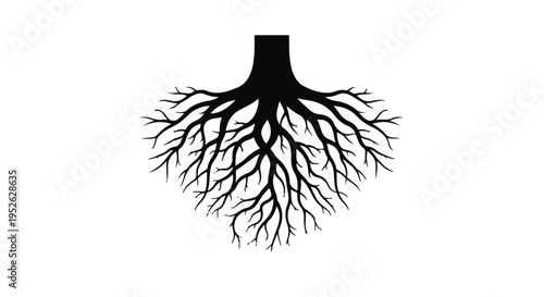Tree roots spread out in a detailed black silhouette against a clean white background.
