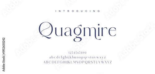 Elegant ligature alphabet letters font logo. Typography luxury classic lettering serif fonts decorative wedding vintage retro logos, design for fashion,beauty shop and brand . vector illustration